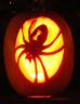 Spider pumpkin